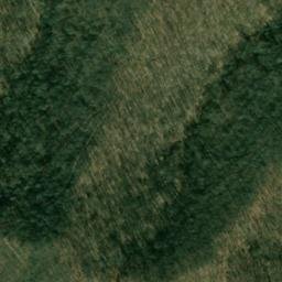 Satellite imagery of WALLACE MICROWAVE TOWER — NGS JX1934 — Harrison County, US, US