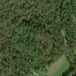 Satellite imagery of F 315 — NGS JX1791 — Taylor County, US, US