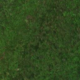 Satellite imagery of Elk Ridge, US