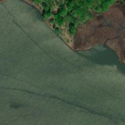 Satellite imagery of Elm Tree Point, US