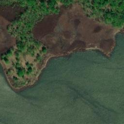 Satellite imagery of Elm Tree Point, US
