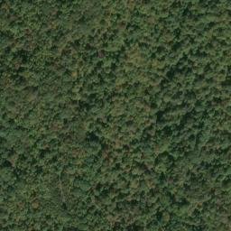 Satellite imagery of WICK — NGS JX1965 — Tyler County, US, US