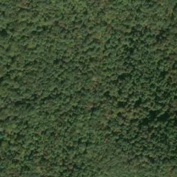 Satellite imagery of WICK — NGS JX1965 — Tyler County, US, US