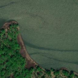 Satellite imagery of Elm Tree Point, US