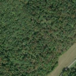Satellite imagery of J 141 — NGS JX0305 — Tyler County, US, US