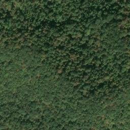 Satellite imagery of K 141 — NGS JX0306 — Tyler County, US, US