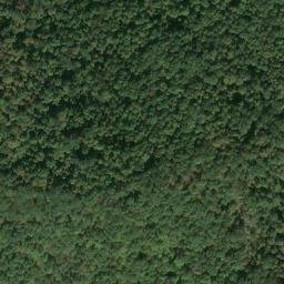Satellite imagery of K 141 — NGS JX0306 — Tyler County, US, US