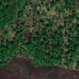 Satellite imagery of Elm Tree Point, US