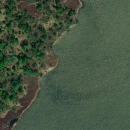 Satellite imagery of Elm Tree Point, US