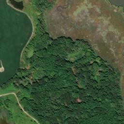 Satellite imagery of Delaware Point, US