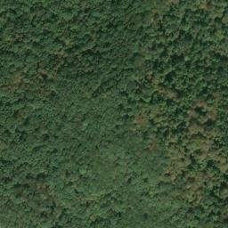 Satellite imagery of J 141 — NGS JX0305 — Tyler County, US, US