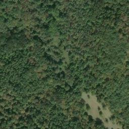 Satellite imagery of J 141 — NGS JX0305 — Tyler County, US, US