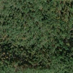 Satellite imagery of Z 133 — NGS JX0325 — Doddridge County, US, US