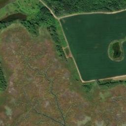Satellite imagery of Delaware Point, US
