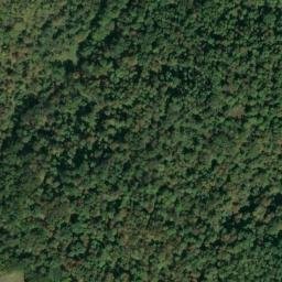 Satellite imagery of X 141 — NGS JX0301 — Tyler County, US, US