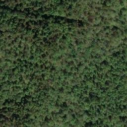 Satellite imagery of E 142 RESET — NGS DR6644 — Tyler County, US, US