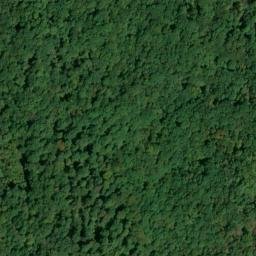 Satellite imagery of Starrett Ridge, US