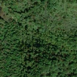Satellite imagery of Peach Ridge, US