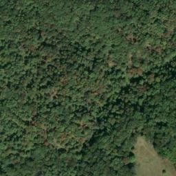 Satellite imagery of W 141 — NGS JX0300 — Tyler County, US, US