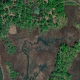 Satellite imagery of Bush Point, US