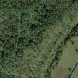 Satellite imagery of F 142 — NGS JX0344 — Tyler County, US, US