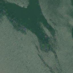 Satellite imagery of Bush Point, US