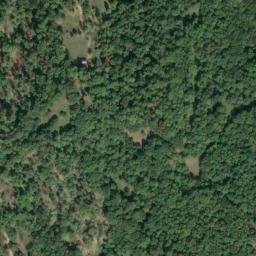 Satellite imagery of W 141 — NGS JX0300 — Tyler County, US, US