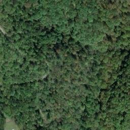 Satellite imagery of G 142 — NGS JX0345 — Tyler County, US, US