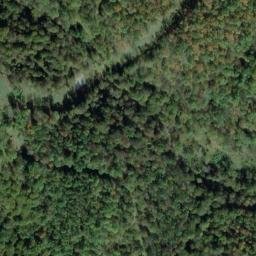 Satellite imagery of H 142 — NGS JX0346 — Tyler County, US, US
