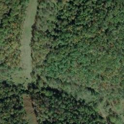 Satellite imagery of H 142 — NGS JX0346 — Tyler County, US, US