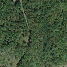 Satellite imagery of H 142 — NGS JX0346 — Tyler County, US, US