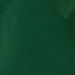 Satellite imagery of Castle Point, US