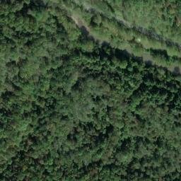 Satellite imagery of G 142 — NGS JX0345 — Tyler County, US, US