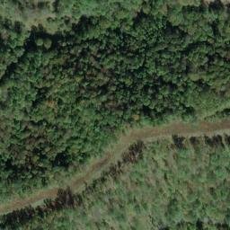 Satellite imagery of J 142 — NGS JX0347 — Tyler County, US, US