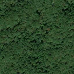 Satellite imagery of Lake Ridge, US