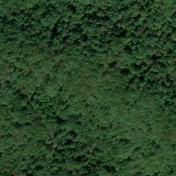 Satellite imagery of Lake Ridge, US
