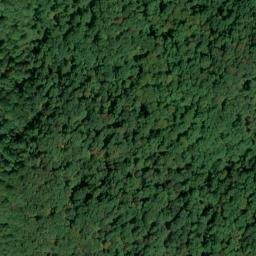 Satellite imagery of Lake Ridge, US
