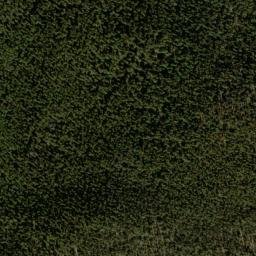 Satellite imagery of Fortune Placer Mine, US