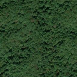 Satellite imagery of Lake Ridge, US