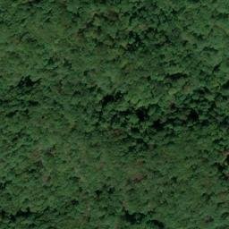 Satellite imagery of Lake Ridge, US