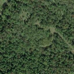 Satellite imagery of J 142 — NGS JX0347 — Tyler County, US, US