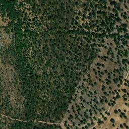 Satellite imagery of survey_point, PT