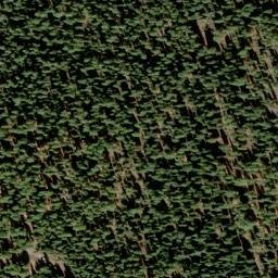 Satellite imagery of Buck Ridge, US