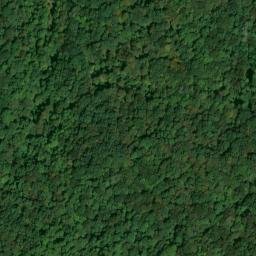 Satellite imagery of Locust Grove Ridge, US