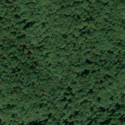 Satellite imagery of Lake Ridge, US