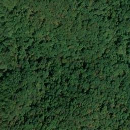 Satellite imagery of Lake Ridge, US