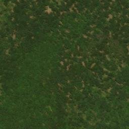 Satellite imagery of Chestnut Oak Ridge, US
