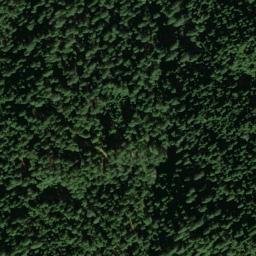 Satellite imagery of Lupine Point, US