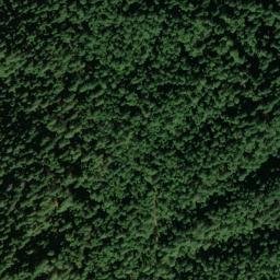 Satellite imagery of Lupine Point, US