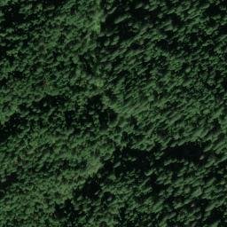 Satellite imagery of Lupine Point, US